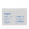 Аккумуляторная батарея Neata NT 12-100 купить в Новосибирске